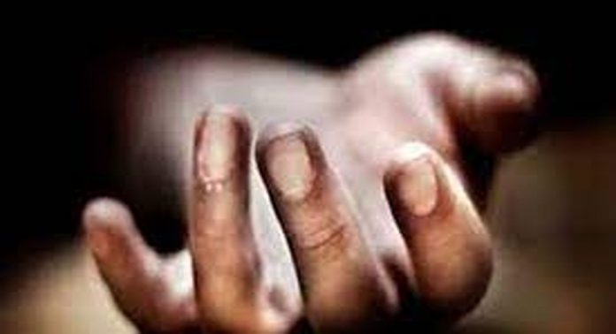 മലയാളി വിദ്യാർഥി ബംഗളൂരുവിൽ പാമ്പുകടിയേറ്റ് മരിച്ചു മലയാളി വിദ്യാർഥി ബംഗളൂരുവിൽ പാമ്പുകടിയേറ്റ് മരിച്ചു