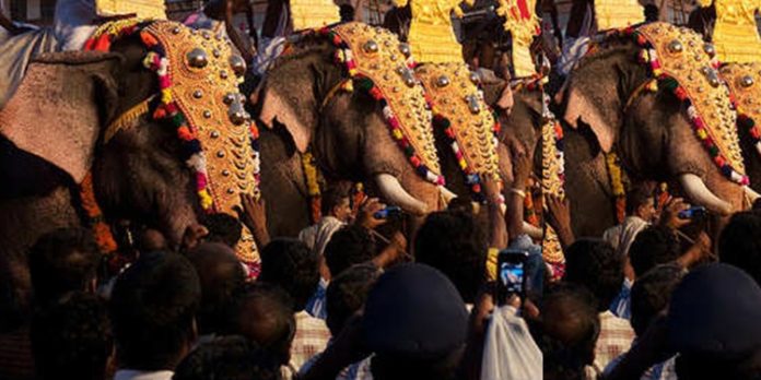 കൊയിലാണ്ടി ക്ഷേത്രോത്സവത്തിൽ ആന ഇടഞ്ഞ സംഭവത്തിൽ അന്തിമ റിപ്പോർട്ട് സമർപ്പിച്ചു കൊയിലാണ്ടി ക്ഷേത്രോത്സവത്തിൽ ആന ഇടഞ്ഞ സംഭവത്തിൽ അന്തിമ റിപ്പോർട്ട് സമർപ്പിച്ചു