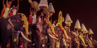 ‘എഴുന്നള്ളിപ്പിന് എത്തിക്കുന്ന ആനകളെ ദൈവതുല്യരായി കണ്ട് സംരക്ഷിക്കണം’ ; സുപ്രീം കോടതി