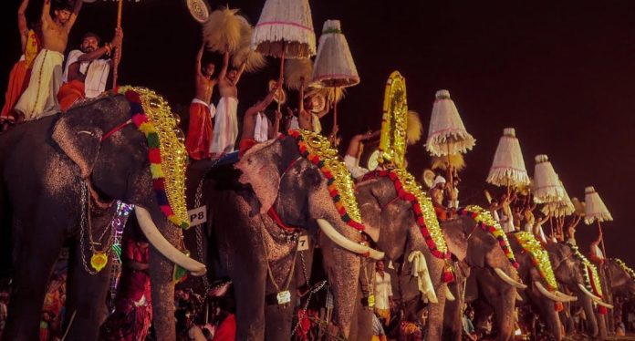 ഒരു ദിവസം 6 മണിക്കൂറിൽ കൂടുതൽ ആനയെ എഴുന്നളളിക്കാൻപാടില്ല ; കർശന നിർദ്ദേശം ഒരു ദിവസം 6 മണിക്കൂറിൽ കൂടുതൽ ആനയെ എഴുന്നളളിക്കാൻപാടില്ല ; കർശന നിർദ്ദേശം