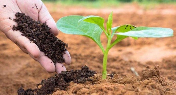 യുവജന കമ്മീഷന് യുവ കര്ഷക സംഗമം സംഘടിപ്പിക്കുന്നു യുവജന കമ്മീഷന് യുവ കര്ഷക സംഗമം സംഘടിപ്പിക്കുന്നു