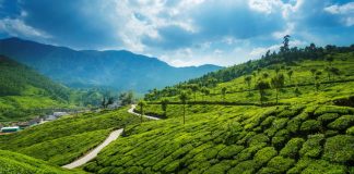 ഇടുക്കി ജില്ലയിൽ വിനോദസഞ്ചാര കേന്ദ്രങ്ങളിൽ ഏർപ്പെടുത്തിയിരുന്ന വിലക്കുകൾ നീക്കി