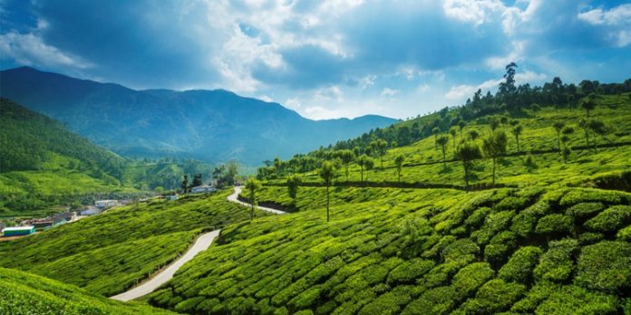 ഡിസംബറിന്റെ കുളിര് തേടി ഇടുക്കിയിലേക്ക് സഞ്ചാരികളുടെ ഒഴുക്ക് ഡിസംബറിന്റെ കുളിര് തേടി ഇടുക്കിയിലേക്ക് സഞ്ചാരികളുടെ ഒഴുക്ക്
