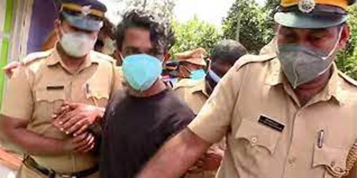 6 വയസുകാരിയെ പീഡിപ്പിച്ച് കൊന്ന കേസ് ; വിസ്തരിച്ചത് 48 പേരെ 6 വയസുകാരിയെ പീഡിപ്പിച്ച് കൊന്ന കേസ് ; വിസ്തരിച്ചത് 48 പേരെ