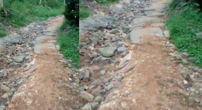 പിച്ചനാട്ട്-വട്ടമറ്റം പടി റോഡ് : സഞ്ചാരയോഗ്യമാക്കണം ; നവകേരള സദസിന് പരാതി നല്കാന് ഒരുങ്ങി നാട്ടുകാര് പിച്ചനാട്ട്-വട്ടമറ്റം പടി റോഡ് : സഞ്ചാരയോഗ്യമാക്കണം ; നവകേരള സദസിന് പരാതി നല്കാന് ഒരുങ്ങി നാട്ടുകാര്