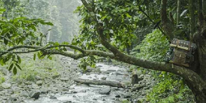 കാടും കുന്നും വെള്ളച്ചാട്ടവും കണ്ടൊരു ജംഗിൾ സഫാരി ! മാങ്കുളവും മാമലക്കണ്ടവും കണ്ടുവരാം! കാടും കുന്നും വെള്ളച്ചാട്ടവും കണ്ടൊരു ജംഗിൾ സഫാരി ! മാങ്കുളവും മാമലക്കണ്ടവും കണ്ടുവരാം!