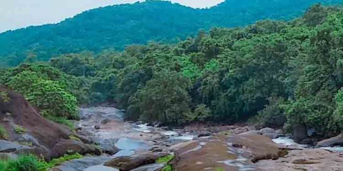 കക്കാടം പൊയിലേക്ക് ഒരു വൺഡേ ട്രിപ്പ് കക്കാടം പൊയിലേക്ക് ഒരു വൺഡേ ട്രിപ്പ്