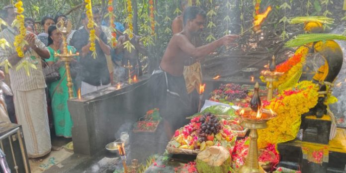 കല്ലേലി ഊരാളി അപ്പൂപ്പൻ കാവിൽ നാഗ പൂജ സമർപ്പിച്ചു കല്ലേലി ഊരാളി അപ്പൂപ്പൻ കാവിൽ നാഗ പൂജ സമർപ്പിച്ചു