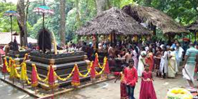 കല്ലേലി ഊരാളി അപ്പൂപ്പൻകാവിൽ തടിയിൽ തീർത്ത നാഗശിൽപ്പ നിർമാണം തുടങ്ങി കല്ലേലി ഊരാളി അപ്പൂപ്പൻകാവിൽ തടിയിൽ തീർത്ത നാഗശിൽപ്പ നിർമാണം തുടങ്ങി