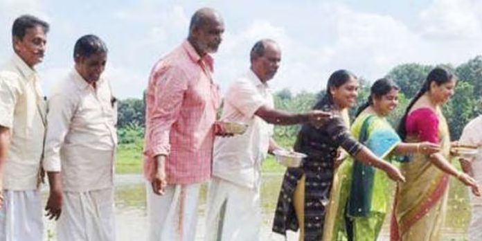 കണ്ടൻചാത്തൻ കതിരക്കോട് പാടശേഖരത്തിൽ കൊയ്ത്തിന് തുടക്കം കുറിച്ചു കണ്ടൻചാത്തൻ കതിരക്കോട് പാടശേഖരത്തിൽ കൊയ്ത്തിന് തുടക്കം കുറിച്ചു