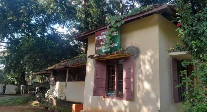 വനം വകുപ്പ് വെറ്റിനറി ഓഫീസ് കെട്ടിടം നിലം പൊത്താറായ അവസ്ഥയിൽ വനം വകുപ്പ് വെറ്റിനറി ഓഫീസ് കെട്ടിടം നിലം പൊത്താറായ അവസ്ഥയിൽ