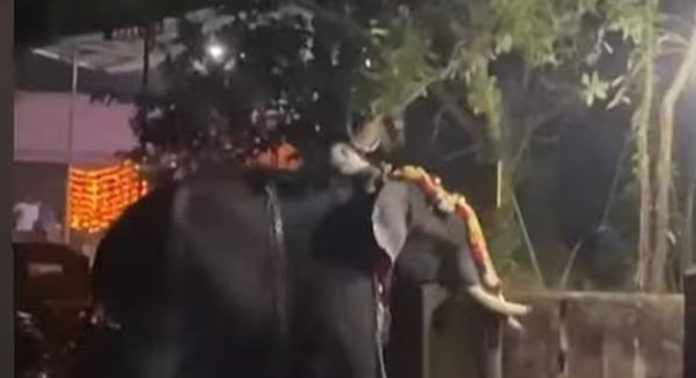 ക്ഷേത്രോത്സവത്തിനിടെ കണ്ണൂരില് ആന ഇടഞ്ഞു ; പൂജാരി അത്ഭുതകരമായി രക്ഷപെട്ടു ക്ഷേത്രോത്സവത്തിനിടെ കണ്ണൂരില് ആന ഇടഞ്ഞു ; പൂജാരി അത്ഭുതകരമായി രക്ഷപെട്ടു