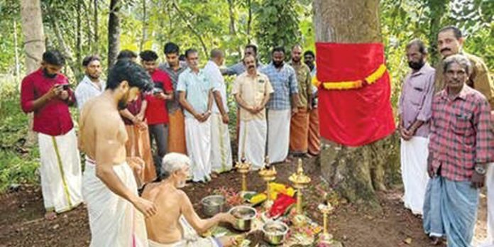 മല്ലപ്പുഴശ്ശേരി പള്ളിയോടം പുതുക്കിപ്പണിയും മല്ലപ്പുഴശ്ശേരി പള്ളിയോടം പുതുക്കിപ്പണിയും