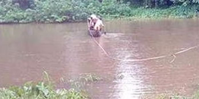 മണ്ണാകടവ് പാലം ടെൻഡർ നടപടി തുടങ്ങി മണ്ണാകടവ് പാലം ടെൻഡർ നടപടി തുടങ്ങി