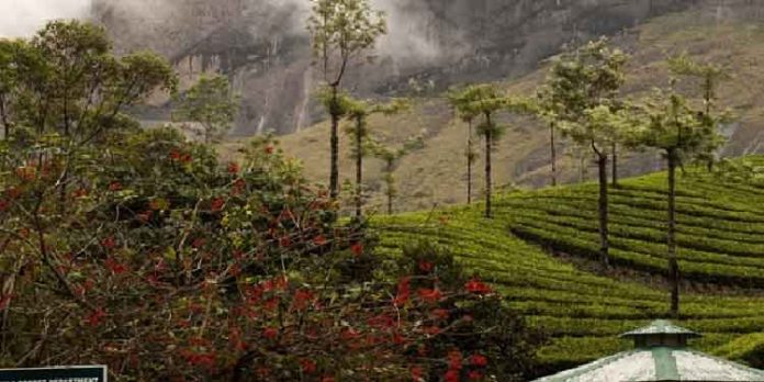 ക്രിസ്തുമസ് കാലത്തെ കേരളത്തിലെ കിടിലൻ കാഴ്ചകൾ ക്രിസ്തുമസ് കാലത്തെ കേരളത്തിലെ കിടിലൻ കാഴ്ചകൾ