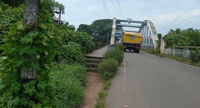 മല്ലപ്പള്ളി പാലത്തിനോട് ചേർന്നുള്ള നടപ്പാലം കാടുമൂടി മല്ലപ്പള്ളി പാലത്തിനോട് ചേർന്നുള്ള നടപ്പാലം കാടുമൂടി
