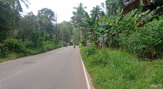 റോഡിന്റെ വശങ്ങളിൽ കാടുമൂടുന്നു റോഡിന്റെ വശങ്ങളിൽ കാടുമൂടുന്നു