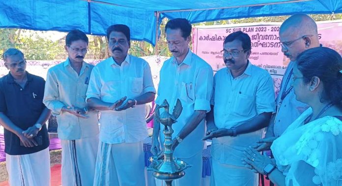 കാര്ഷികാധിഷ്ഠിത ജീവനോപാധികളുടെ വിതരണോദ്ഘാടനം അഡ്വ. ഓമല്ലൂര് ശങ്കരന് നിര്വഹിച്ചു കാര്ഷികാധിഷ്ഠിത ജീവനോപാധികളുടെ വിതരണോദ്ഘാടനം അഡ്വ. ഓമല്ലൂര് ശങ്കരന് നിര്വഹിച്ചു