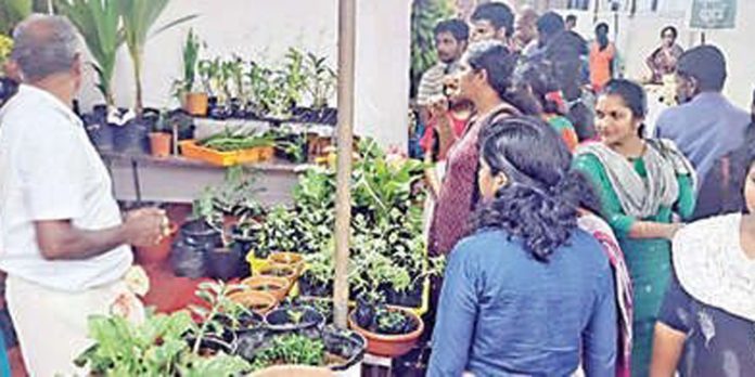 ഓണാട്ടുകര കാർഷികോത്സവത്തിൽ ജനത്തിരക്കേറി ഓണാട്ടുകര കാർഷികോത്സവത്തിൽ ജനത്തിരക്കേറി