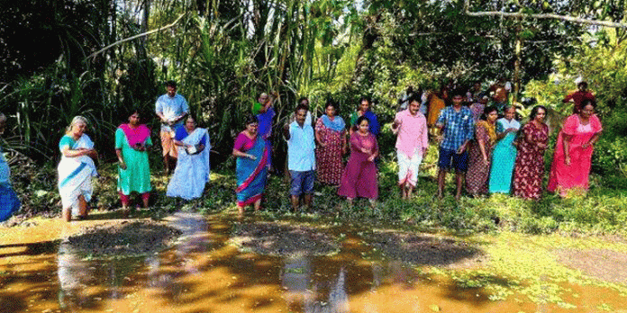 പെരുംതുരുത്ത് വടക്കേ കരിയിൽ പുഞ്ചകൃഷിക്ക് തുടക്കമായി പെരുംതുരുത്ത് വടക്കേ കരിയിൽ പുഞ്ചകൃഷിക്ക് തുടക്കമായി