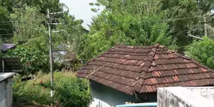 ഒലവക്കോട് ഇരുപ്പശ്ശേരിയിൽ നവകേരള സദസിലൂടെ പരാതിക്ക് പരിഹാരം ഒലവക്കോട് ഇരുപ്പശ്ശേരിയിൽ നവകേരള സദസിലൂടെ പരാതിക്ക് പരിഹാരം
