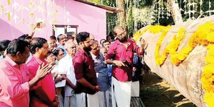 പൂവത്തൂർ പടിഞ്ഞാറ് പള്ളിയോടത്തിന് ഉളികുത്തി പൂവത്തൂർ പടിഞ്ഞാറ് പള്ളിയോടത്തിന് ഉളികുത്തി