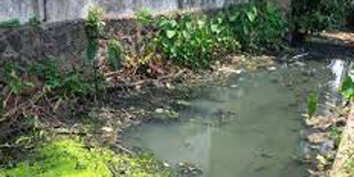 ജില്ലയിലെ കനാലുകള് എല്ലാം മാലിന്യം കൊണ്ട് നിറഞ്ഞു ; മൗനം പാലിച്ച് അധികൃതരും ജില്ലയിലെ കനാലുകള് എല്ലാം മാലിന്യം കൊണ്ട് നിറഞ്ഞു ; മൗനം പാലിച്ച് അധികൃതരും