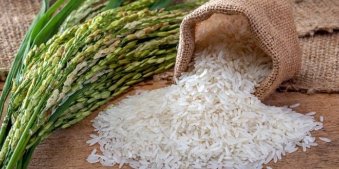 ഭാരത് അരി പൊതുവിപണിയിൽ ഇറക്കാൻ കേന്ദ്രം ; പ്രഖ്യാപനം ഉടൻ ഭാരത് അരി പൊതുവിപണിയിൽ ഇറക്കാൻ കേന്ദ്രം ; പ്രഖ്യാപനം ഉടൻ