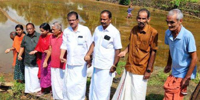 കുറ്റൂർ പഞ്ചായത്തിലെ കോതവിരുത്തി പാടത്ത് വിതയുത്സവം നടത്തി കുറ്റൂർ പഞ്ചായത്തിലെ കോതവിരുത്തി പാടത്ത് വിതയുത്സവം നടത്തി