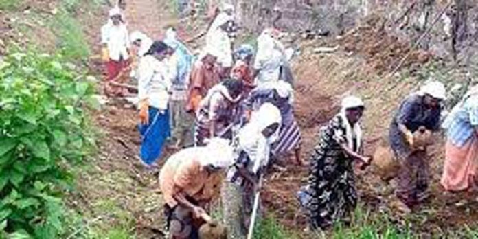 റാന്നിയിലെ നവകേരള സദസ് കൊഴുപ്പിക്കാന് തൊഴിലുറപ്പ് തൊഴിലാളികളുടെ തൊഴില് നിഷേധിച്ചു റാന്നിയിലെ നവകേരള സദസ് കൊഴുപ്പിക്കാന് തൊഴിലുറപ്പ് തൊഴിലാളികളുടെ തൊഴില് നിഷേധിച്ചു