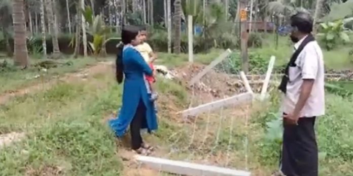 കാട്ടുപന്നികളുടെ ശല്യം ; കൃഷിയിടത്തിന് ചുറ്റും കെട്ടിയ കമ്പിവേലി സാമൂഹിക വിരുദ്ധർ തകർത്തു കാട്ടുപന്നികളുടെ ശല്യം ; കൃഷിയിടത്തിന് ചുറ്റും കെട്ടിയ കമ്പിവേലി സാമൂഹിക വിരുദ്ധർ തകർത്തു