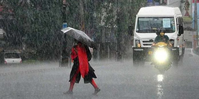 സംസ്ഥാനത്ത് നാളെ മുതല് മഴ കനക്കും ; ഞായറാഴ്ച രണ്ടു ജില്ലകളില് ഓറഞ്ച് അലര്ട്ട് സംസ്ഥാനത്ത് നാളെ മുതല് മഴ കനക്കും ; ഞായറാഴ്ച രണ്ടു ജില്ലകളില് ഓറഞ്ച് അലര്ട്ട്