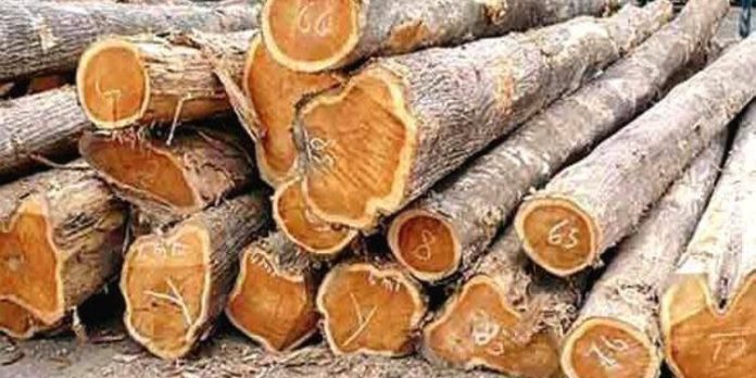 ഗാർഹികാവശ്യത്തിനുള്ള തേക്ക് തടി വിൽപ്പന ജനുവരി 25 മുതൽ ഗാർഹികാവശ്യത്തിനുള്ള തേക്ക് തടി വിൽപ്പന ജനുവരി 25 മുതൽ