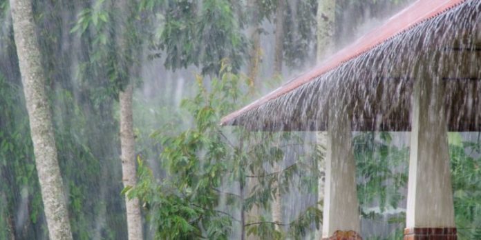 സംസ്ഥാനത്ത് മഴ മുന്നറിയിപ്പില് മാറ്റം ; ഏഴു ജില്ലകളില് ശക്തമായ മഴയ്ക്ക് സാധ്യത സംസ്ഥാനത്ത് മഴ മുന്നറിയിപ്പില് മാറ്റം ; ഏഴു ജില്ലകളില് ശക്തമായ മഴയ്ക്ക് സാധ്യത