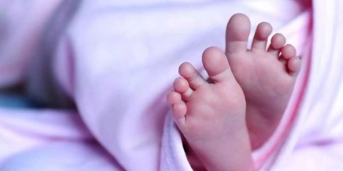 വയനാട് മുട്ടിലില് ബക്കറ്റിലെ വെള്ളത്തില് വീണ് ഒരുവയസുകാരി മരിച്ചു വയനാട് മുട്ടിലില് ബക്കറ്റിലെ വെള്ളത്തില് വീണ് ഒരുവയസുകാരി മരിച്ചു