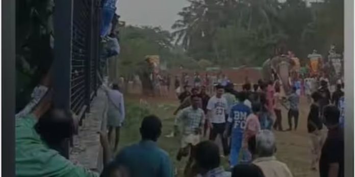 പരുവക്കുന്ന് ഫെസ്റ്റില് രണ്ടു ടീമുകള് തമ്മിലുണ്ടായ സംഘര്ഷത്തിനിടെ ആനയിടഞ്ഞു പരുവക്കുന്ന് ഫെസ്റ്റില് രണ്ടു ടീമുകള് തമ്മിലുണ്ടായ സംഘര്ഷത്തിനിടെ ആനയിടഞ്ഞു