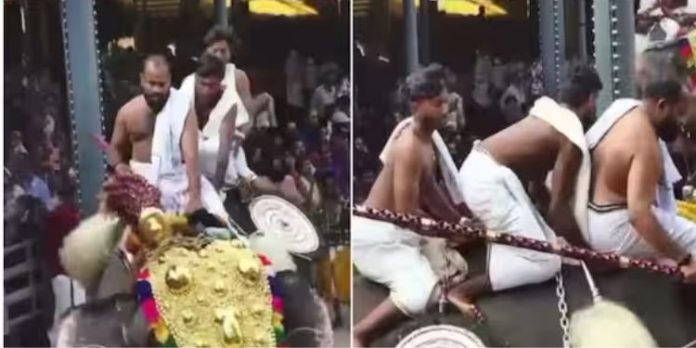 മലപ്പുറത്ത് ഉത്സവത്തിനിടെ ഇടഞ്ഞു ; തിക്കിലും തിരക്കിലും പെട്ട് മൂന്ന് പേർക്ക് പരിക്ക് മലപ്പുറത്ത് ഉത്സവത്തിനിടെ ഇടഞ്ഞു ; തിക്കിലും തിരക്കിലും പെട്ട് മൂന്ന് പേർക്ക് പരിക്ക്