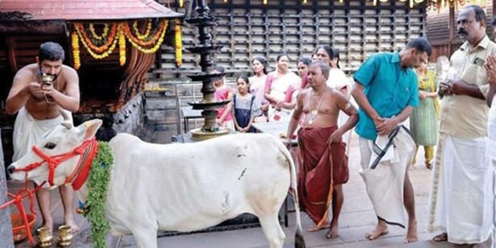 അമ്പലപ്പുഴയിൽ പന്ത്രണ്ട് കളഭമഹോത്സവം അമ്പലപ്പുഴയിൽ പന്ത്രണ്ട് കളഭമഹോത്സവം