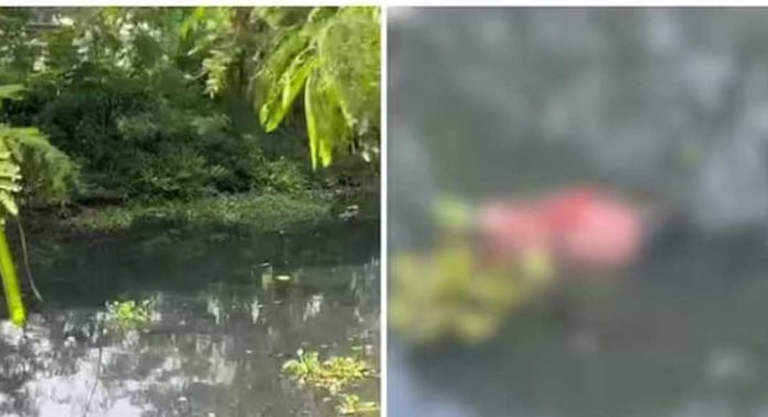 കോഴിക്കോട് കനോലി കനാലിൽ യുവതിയുടെ മൃതദേഹം കണ്ടെത്തി കോഴിക്കോട് കനോലി കനാലിൽ യുവതിയുടെ മൃതദേഹം കണ്ടെത്തി