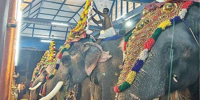 ചെങ്ങന്നൂർ മഹാദേവക്ഷേത്രത്തിലെ സേവ തൊഴാൻ ഭക്തജനത്തിരക്ക് ചെങ്ങന്നൂർ മഹാദേവക്ഷേത്രത്തിലെ സേവ തൊഴാൻ ഭക്തജനത്തിരക്ക്