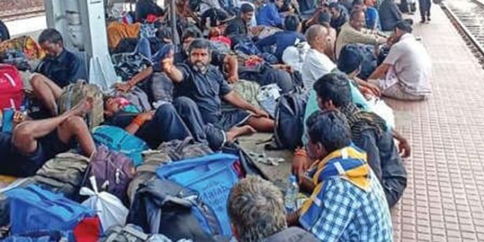 മകരവിളക്കുദർശിച്ച് മടങ്ങിയെത്തിയ ഭക്തർക്ക് മടങ്ങാൻ റെയിൽവേ ചെങ്ങന്നൂരിൽനിന്ന് ചെന്നൈക്ക് പ്രത്യേക ട്രെയിൻ ഏർപ്പെടുത്തി മകരവിളക്കുദർശിച്ച് മടങ്ങിയെത്തിയ ഭക്തർക്ക് മടങ്ങാൻ റെയിൽവേ ചെങ്ങന്നൂരിൽനിന്ന് ചെന്നൈക്ക് പ്രത്യേക ട്രെയിൻ ഏർപ്പെടുത്തി