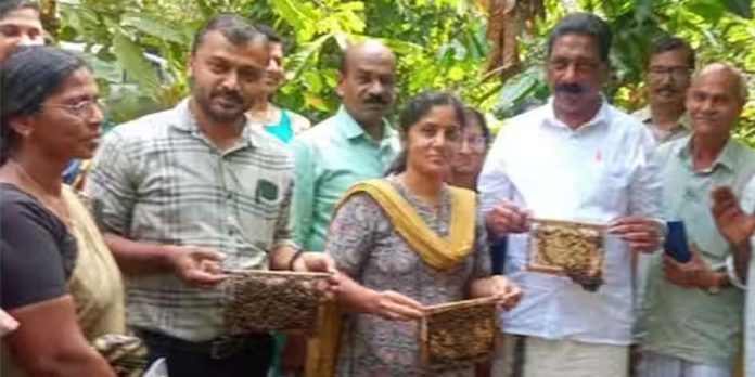 മധുരമൂറും ഗ്രാമമായി ചക്കിട്ടപ്പാറ ; കഴിഞ്ഞ വർഷം വിറ്റത് 16 ടണ് തേൻ മധുരമൂറും ഗ്രാമമായി ചക്കിട്ടപ്പാറ ; കഴിഞ്ഞ വർഷം വിറ്റത് 16 ടണ് തേൻ