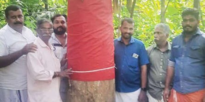 ചാലാപ്പള്ളി വലിയകുന്നം അന്നപൂർണേശ്വരി ദേവീക്ഷേത്രത്തിൽ കൊടിമരത്തിനുള്ള തേക്ക് എരുമേലിയിൽനിന്ന് ചാലാപ്പള്ളി വലിയകുന്നം അന്നപൂർണേശ്വരി ദേവീക്ഷേത്രത്തിൽ കൊടിമരത്തിനുള്ള തേക്ക് എരുമേലിയിൽനിന്ന്