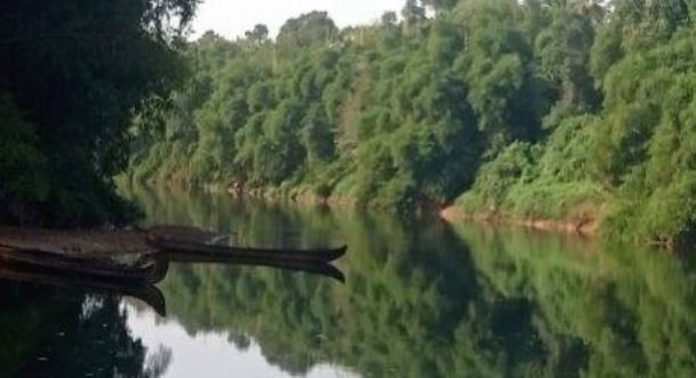 പാറക്കടവ് പാലം നിർമ്മാണം ഇനി എന്ന്… ; കാത്തിരിപ്പിൽ നിവാസികൾ പാറക്കടവ് പാലം നിർമ്മാണം ഇനി എന്ന്… ; കാത്തിരിപ്പിൽ നിവാസികൾ