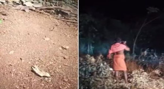 ധോണിയിൽ ജനവാസമേഖലയിൽ വീണ്ടും പുലിയിറങ്ങി ധോണിയിൽ ജനവാസമേഖലയിൽ വീണ്ടും പുലിയിറങ്ങി