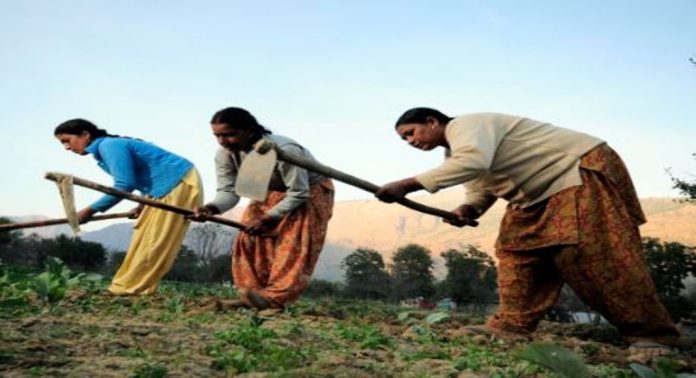 വനിതാ കർഷകർക്കുള്ള സാമ്പത്തിക സഹായം ഇരട്ടിയാക്കാൻ നീക്കവുമായി കേന്ദ്രസർക്കാർ വനിതാ കർഷകർക്കുള്ള സാമ്പത്തിക സഹായം ഇരട്ടിയാക്കാൻ നീക്കവുമായി കേന്ദ്രസർക്കാർ