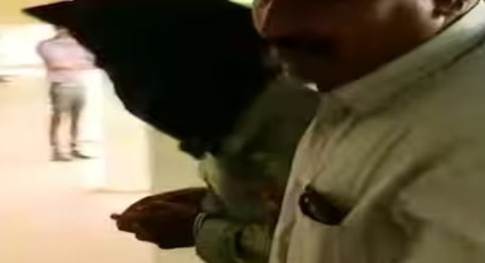 സവാദിനെ പരിചയപ്പെട്ടത് ഉള്ളാൾ ദർഗയിൽ വച്ച്, നല്ലവനാണെന്ന് തോന്നി ; ഭാര്യാപിതാവ് സവാദിനെ പരിചയപ്പെട്ടത് ഉള്ളാൾ ദർഗയിൽ വച്ച്, നല്ലവനാണെന്ന് തോന്നി ; ഭാര്യാപിതാവ്