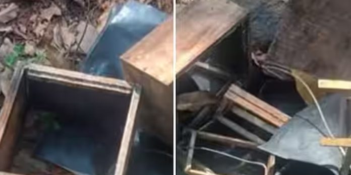 കരടി ശല്യം മൂലം ദുരിതത്തിലായി നാട്ടുകാർ കരടി ശല്യം മൂലം ദുരിതത്തിലായി നാട്ടുകാർ