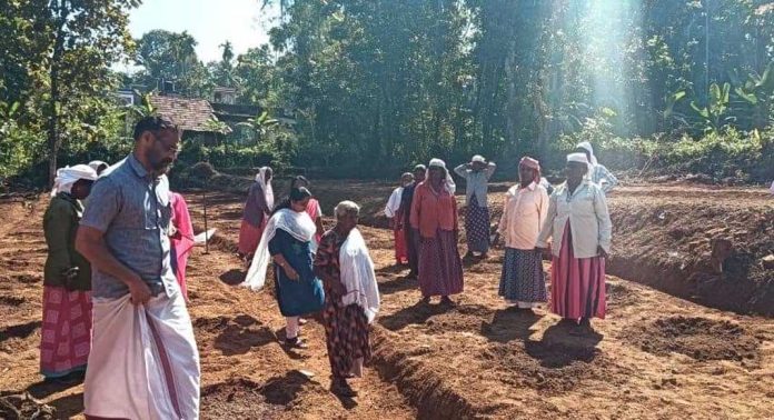 ഇരവിപേരൂര് ഗ്രാമപഞ്ചായത്തില് തണ്ണിമത്തന് കൃഷിക്ക് തുടക്കമായി ഇരവിപേരൂര് ഗ്രാമപഞ്ചായത്തില് തണ്ണിമത്തന് കൃഷിക്ക് തുടക്കമായി