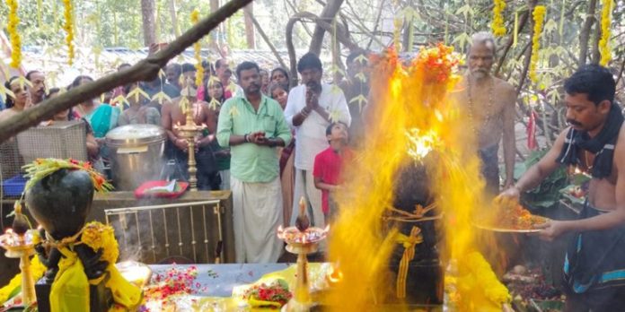 കല്ലേലി കാവിൽ ആയില്യം പൂജ സമർപ്പിച്ചു കല്ലേലി കാവിൽ ആയില്യം പൂജ സമർപ്പിച്ചു
